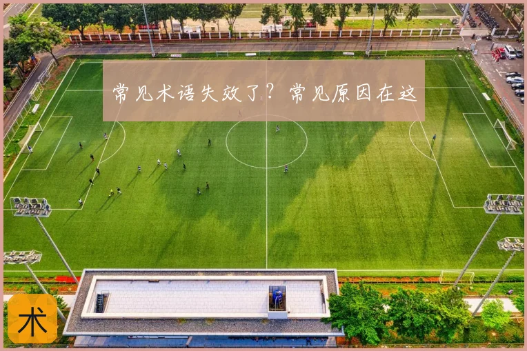 常见术语失效了?常见原因在这